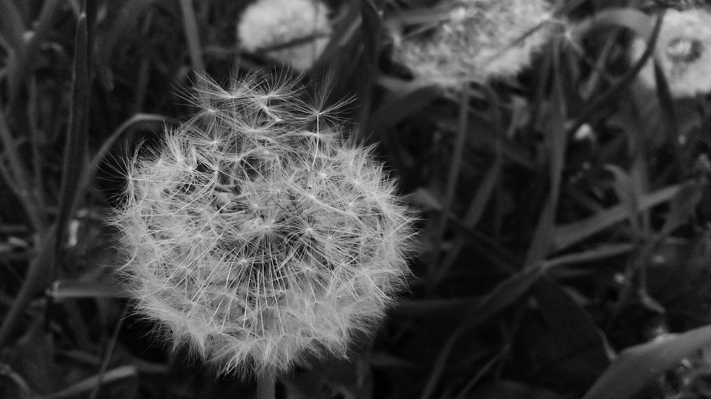 Невесомость