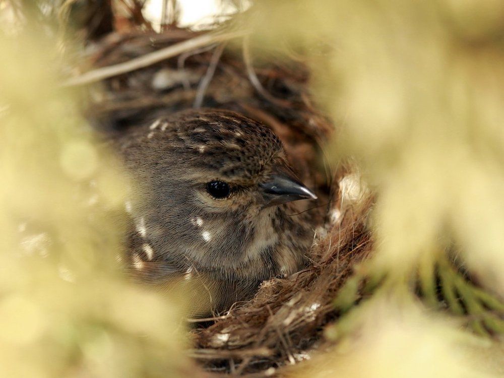 "Трудная работа ".