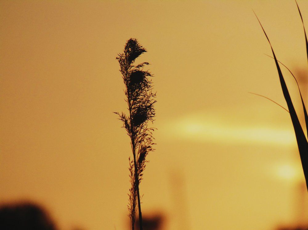 Photograph by Юлия Иванова