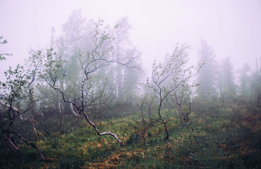 Горная Шория