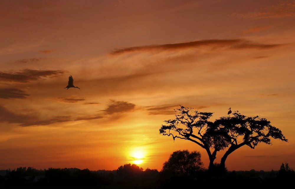 Photograph by Рашид Хайданов