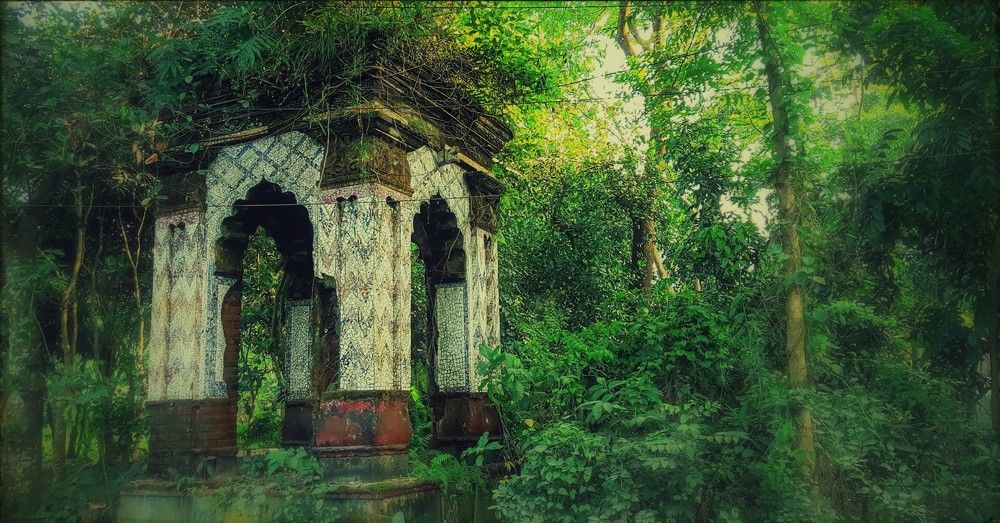 Abandoned Ones are Forgotten Ones!