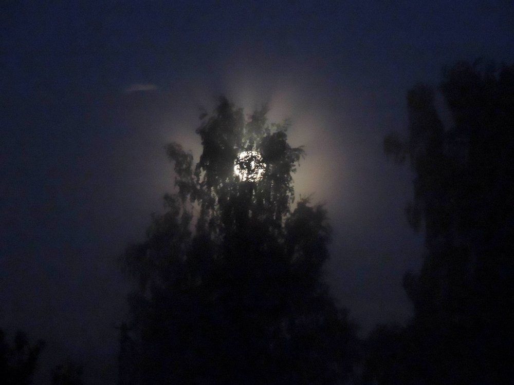 Полнолуние.