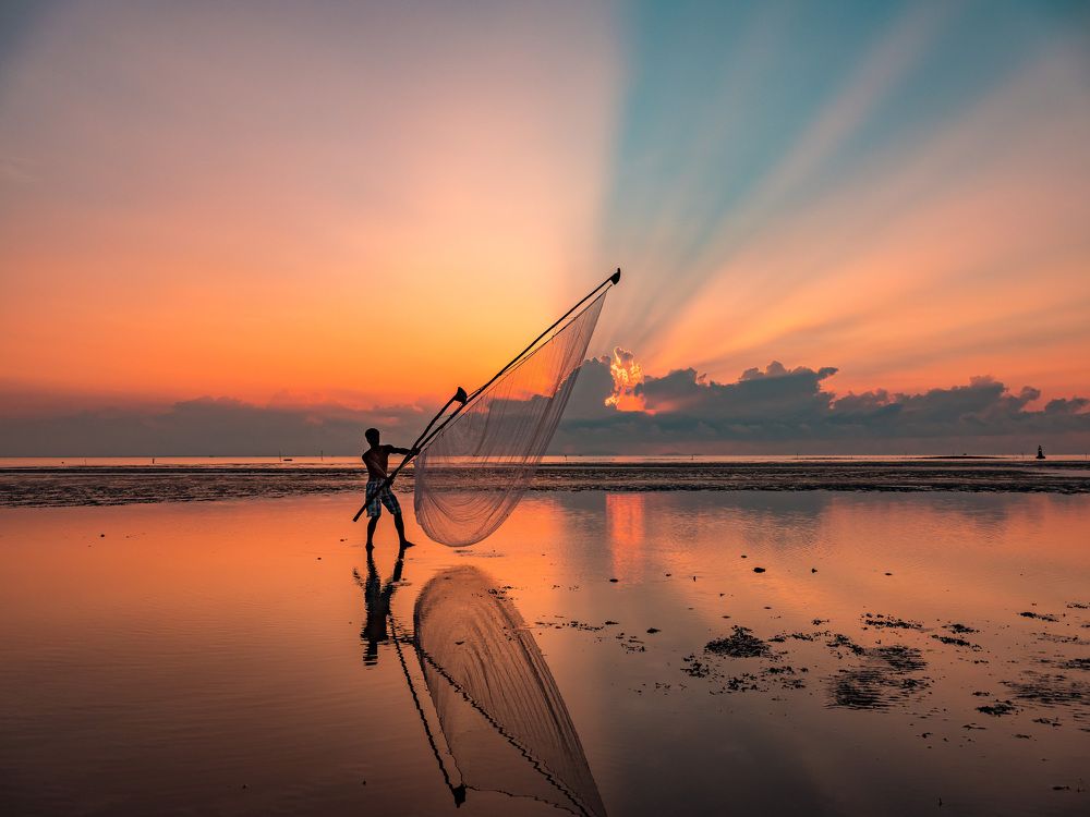 Clam harvesting - fisherman at sunrise Nha Mat, Bac Lieu province, Vietnam