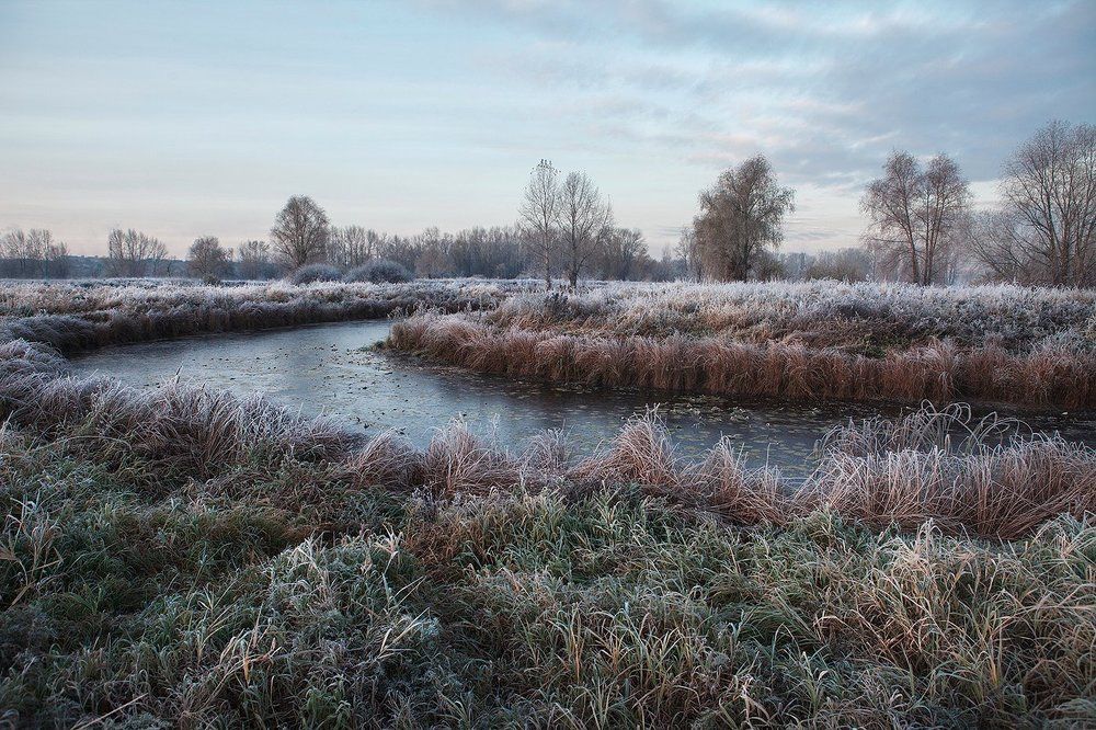 Осенние заморозки