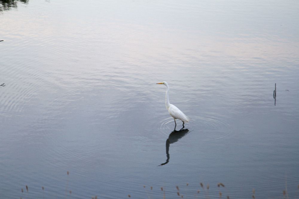 Одиночество