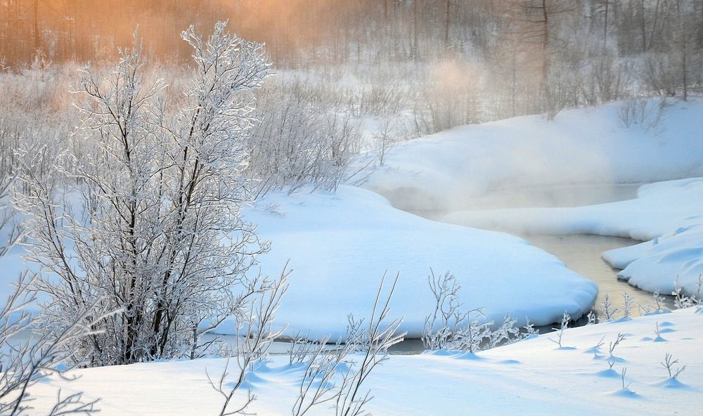 Солнечный денек