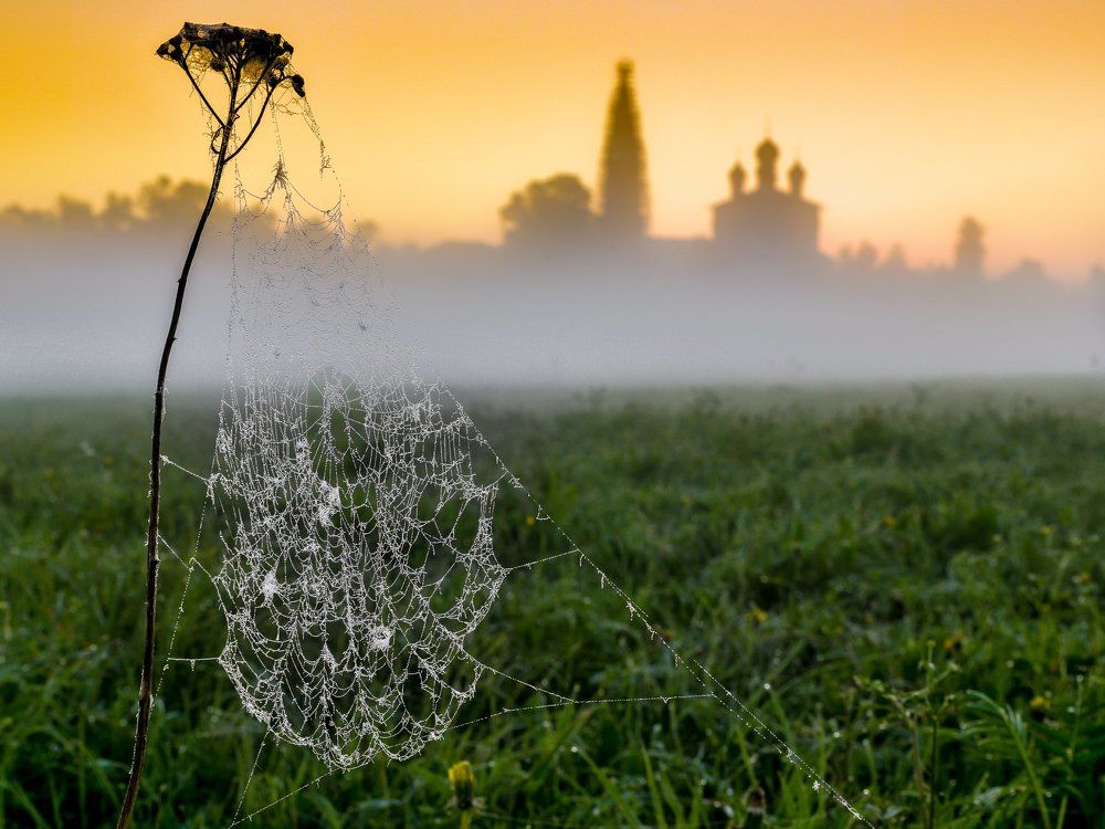 Рассвет. Осенево