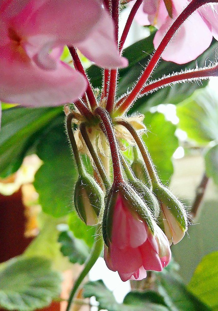 Мир вокруг нас..