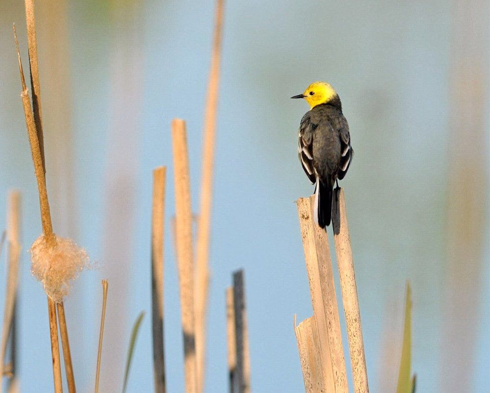 Photograph by Степанов Евгений