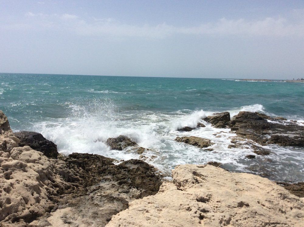 Photo #1809938