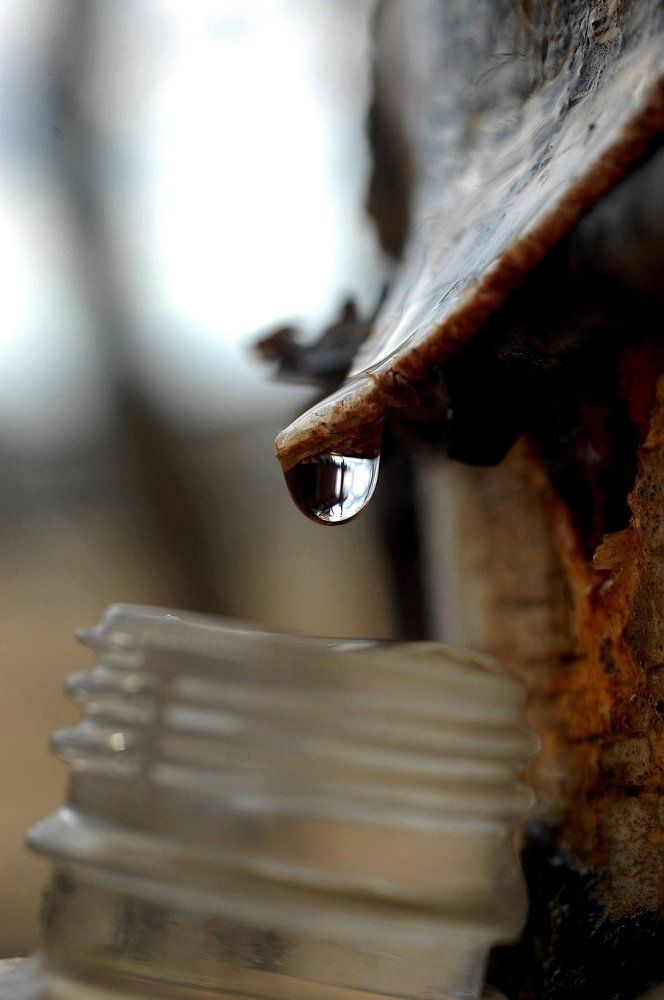 Березовый сок