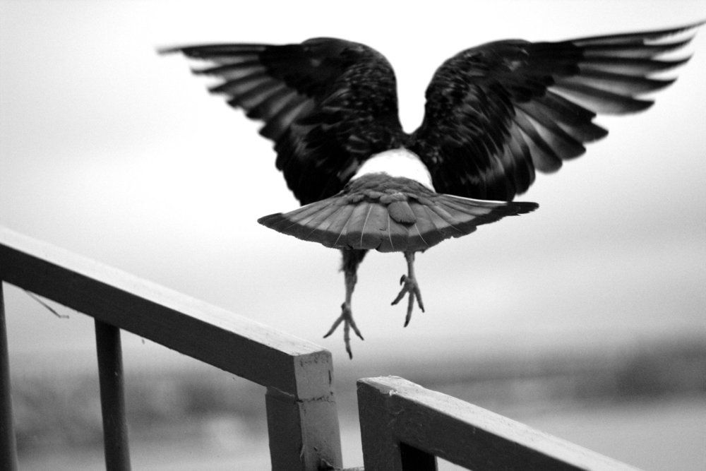 Photograph by Дмитрий Касаткин