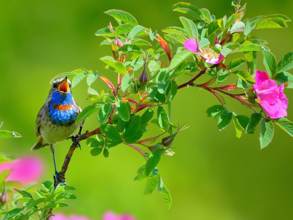 Песни про лето