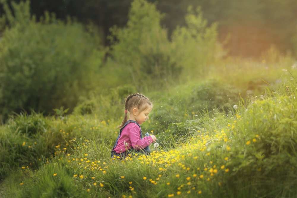 цветочная полянка