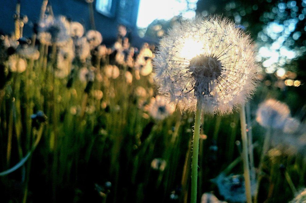 Солнце сожжёт тебя