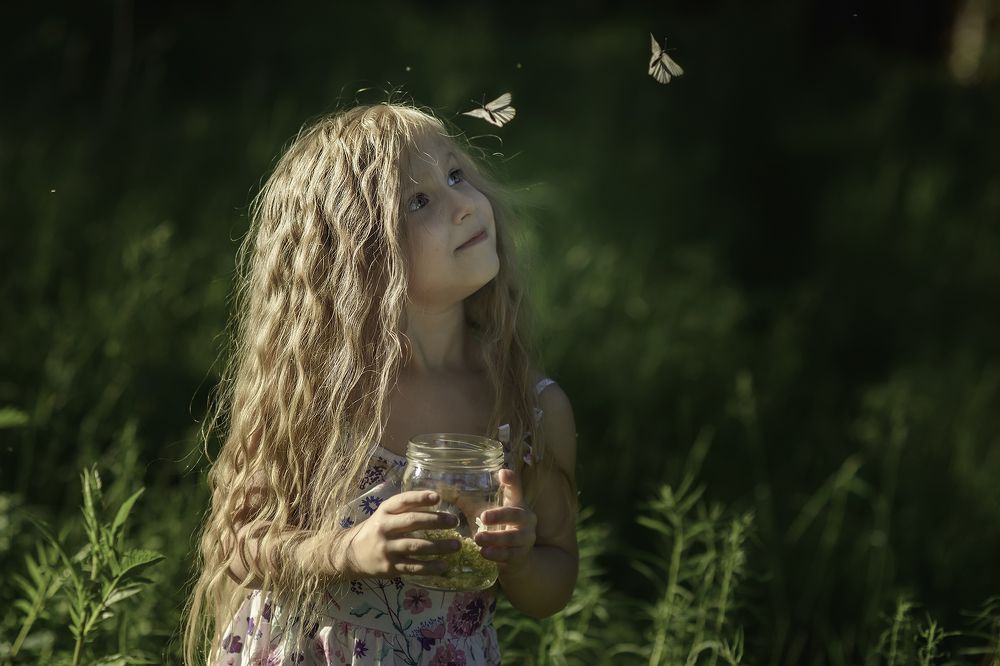 дачная история