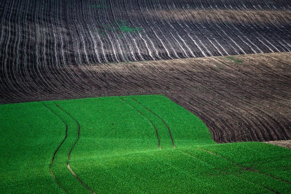 Текстуры полей