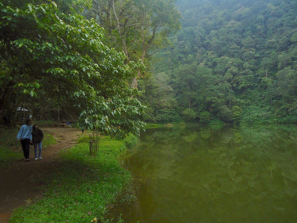 Nature unites our love