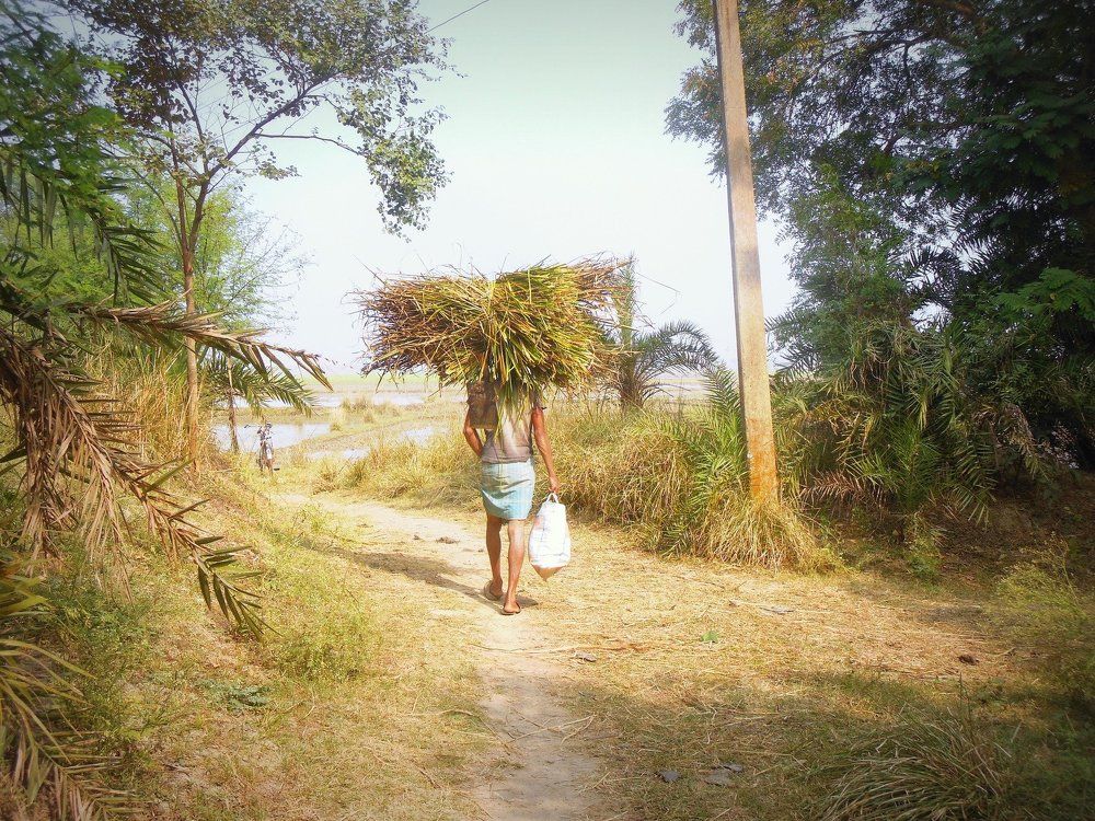 A farmer's day