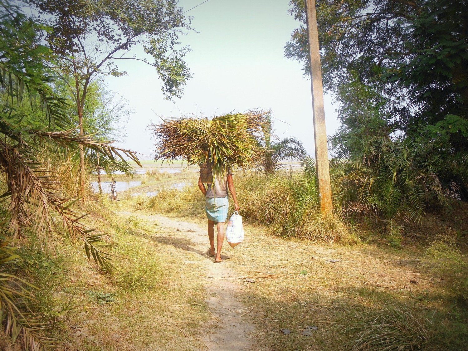 A farmer's day