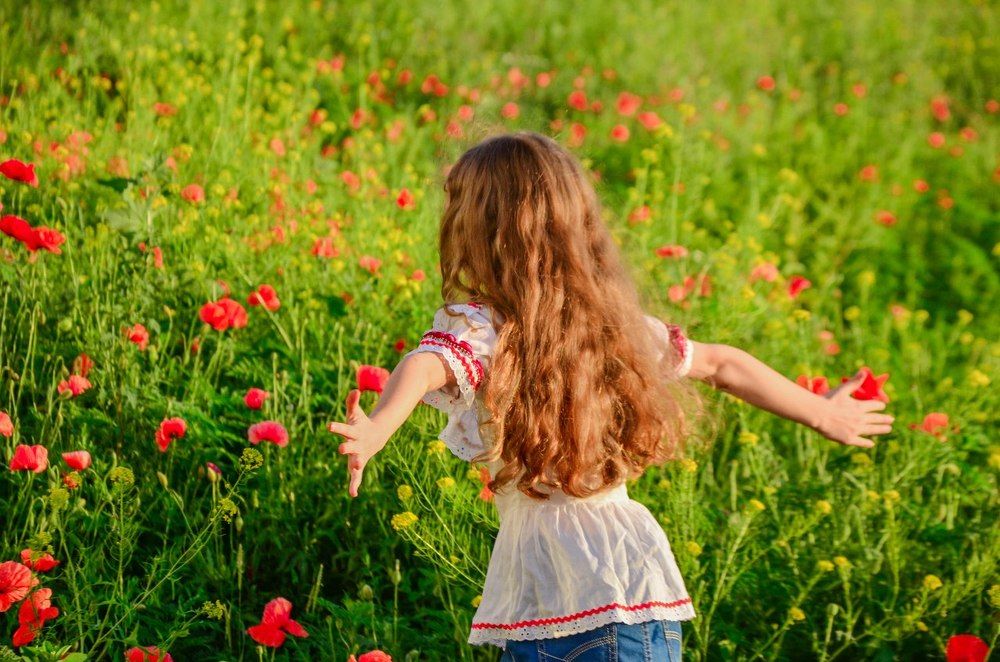 Маковое поле