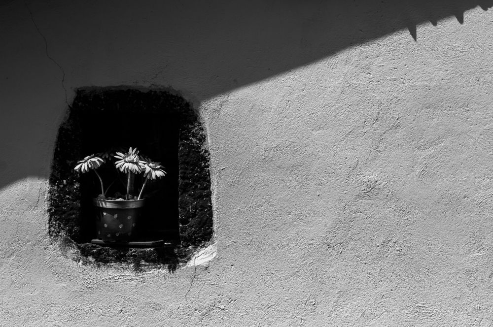 Nature morte / Натюрморт