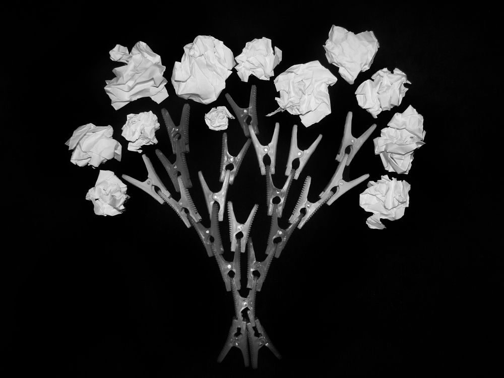 Who substituted my trees?