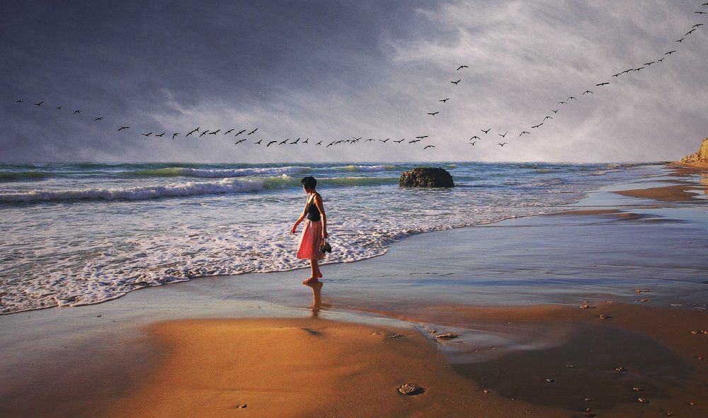 Куда улетают птицы