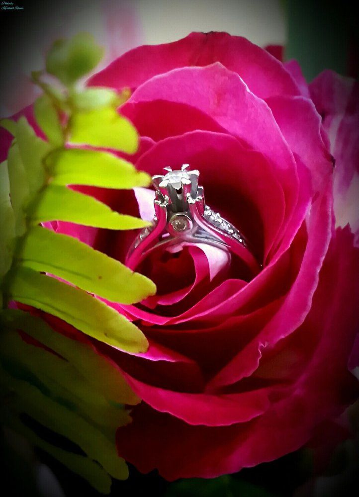 Ptedlojenie k devuşke