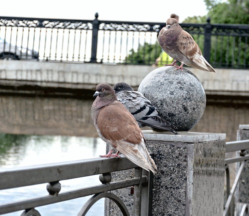 учитель географии