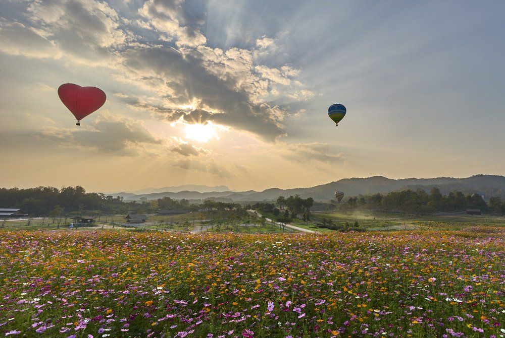 ++ Love is in the air ++