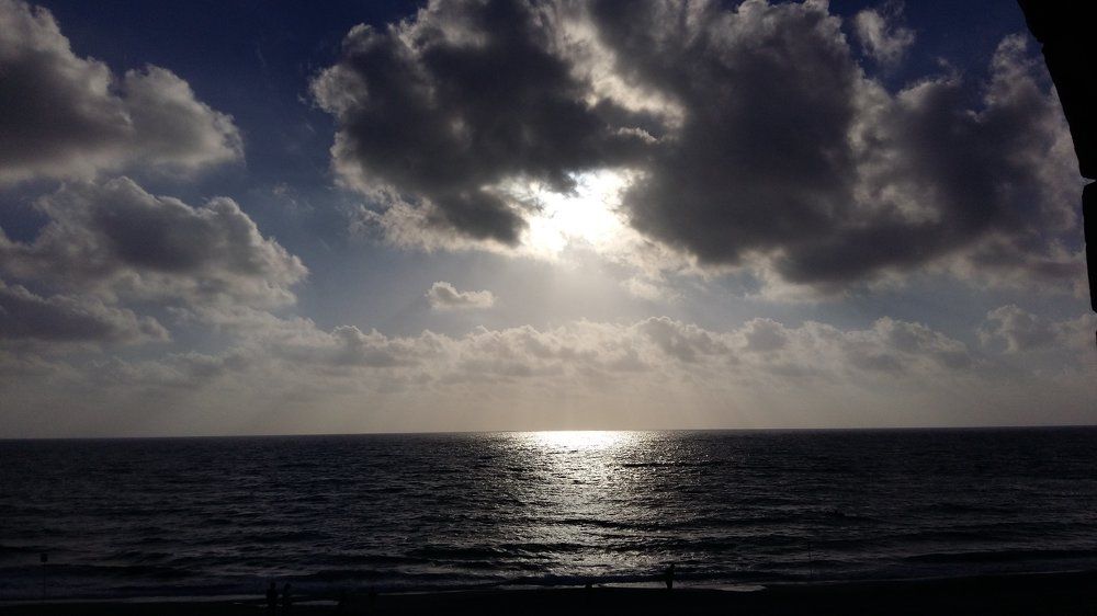 Photograph by alex