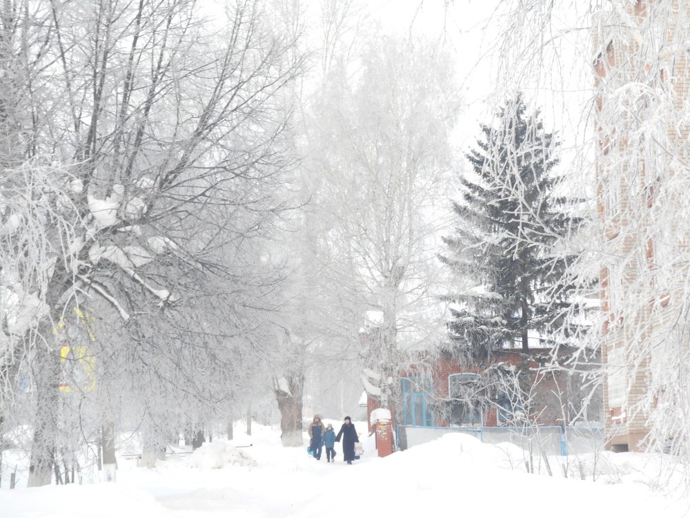 Зимняя прогулка