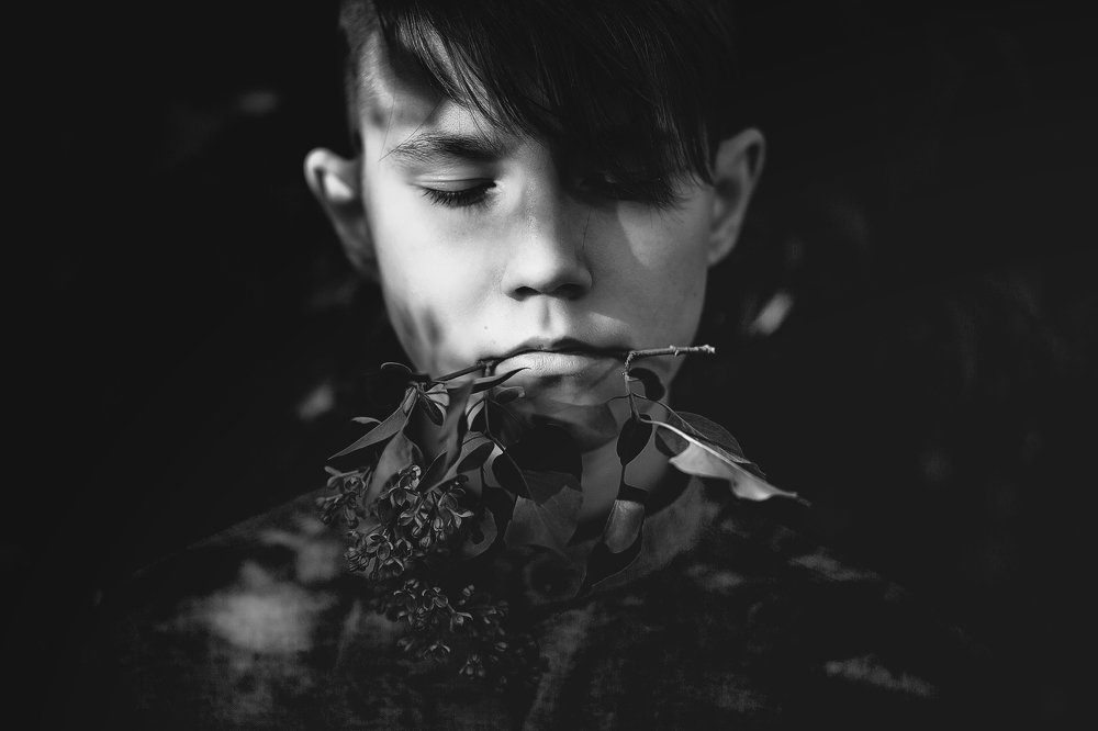 Ветка сирени