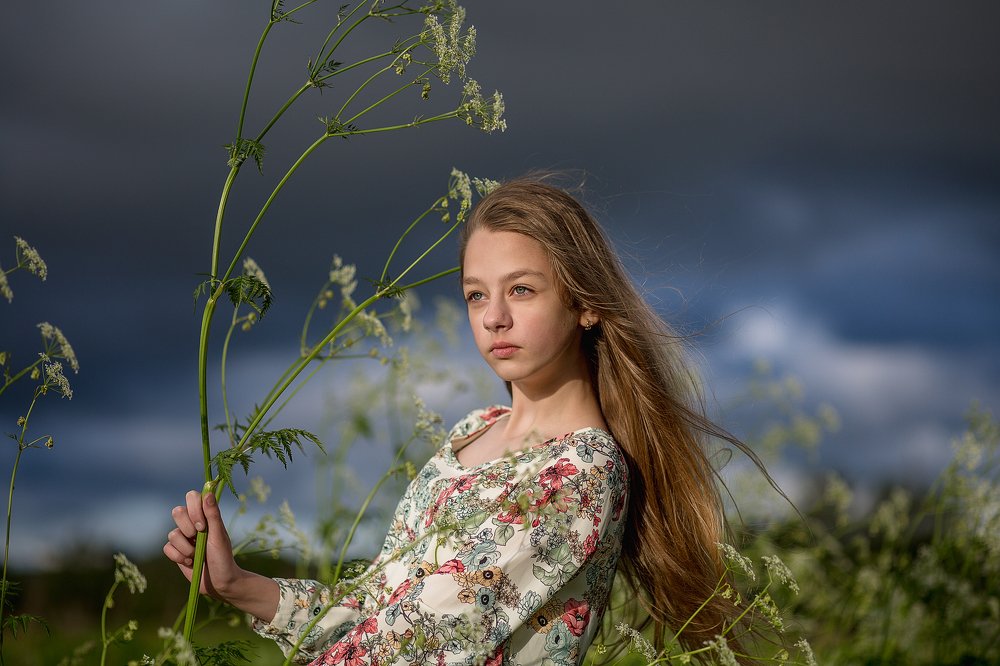 Перед грозой