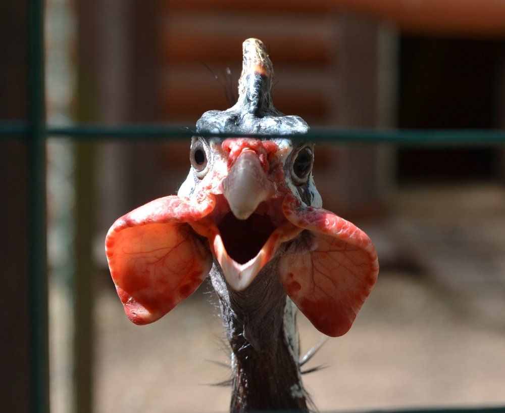 Photograph by Надежда Буаллаг