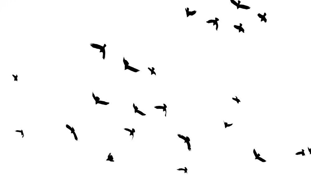 Photograph by Елена Галахад