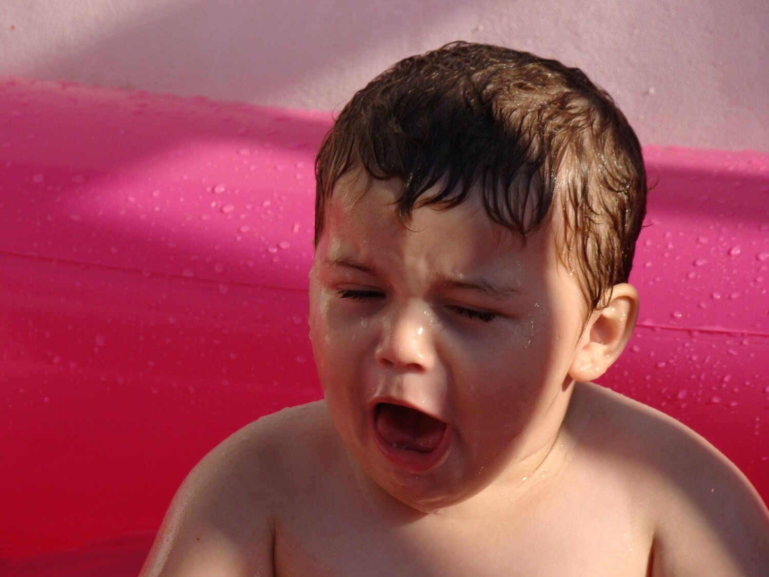Photo #1811631