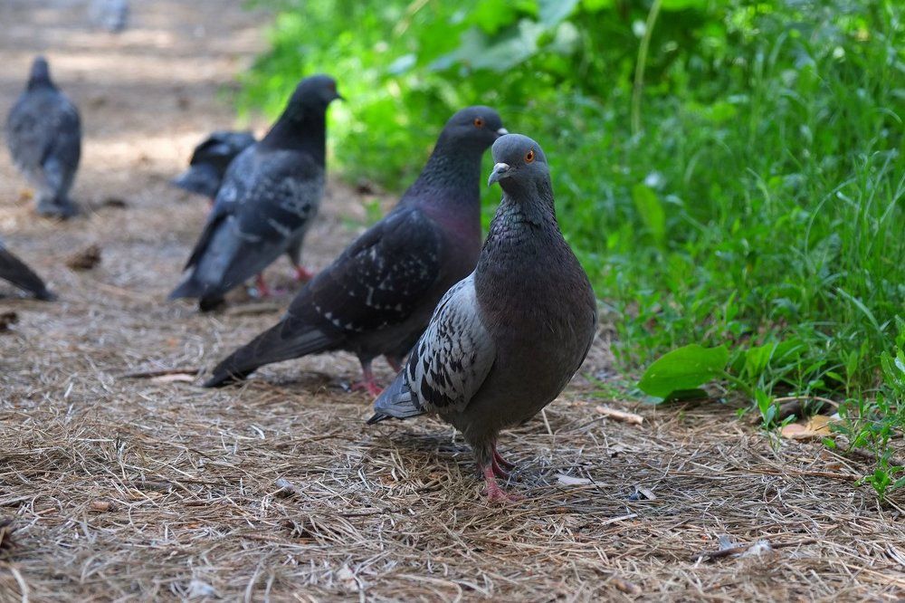 Photograph by Андрей