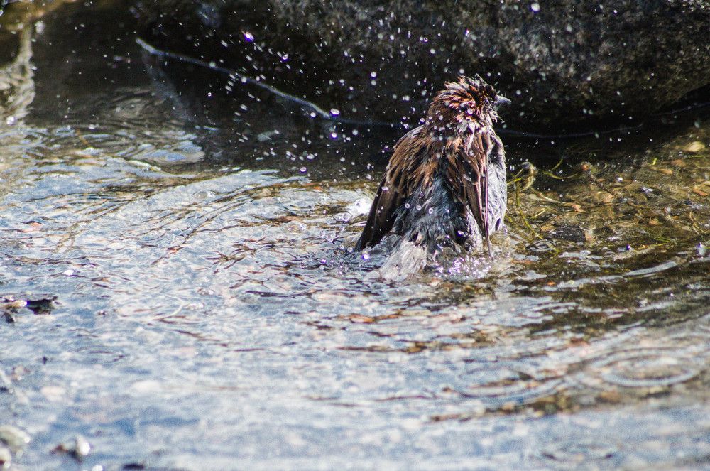 Photograph by Антон