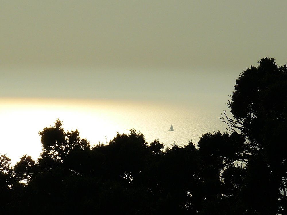 Белеет парус одинокий....