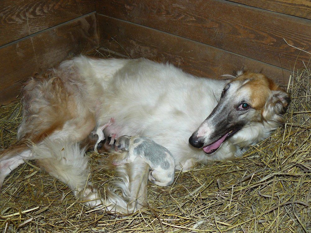 Гордая мама.