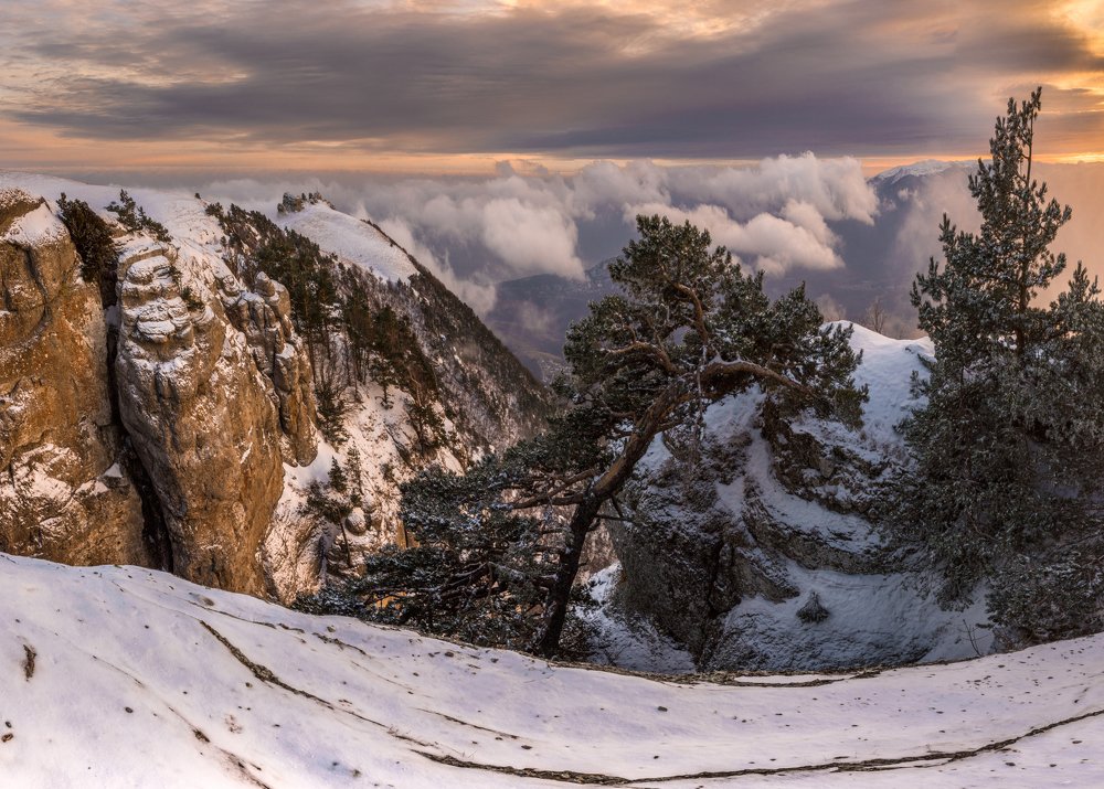 Когда рассеялся туман