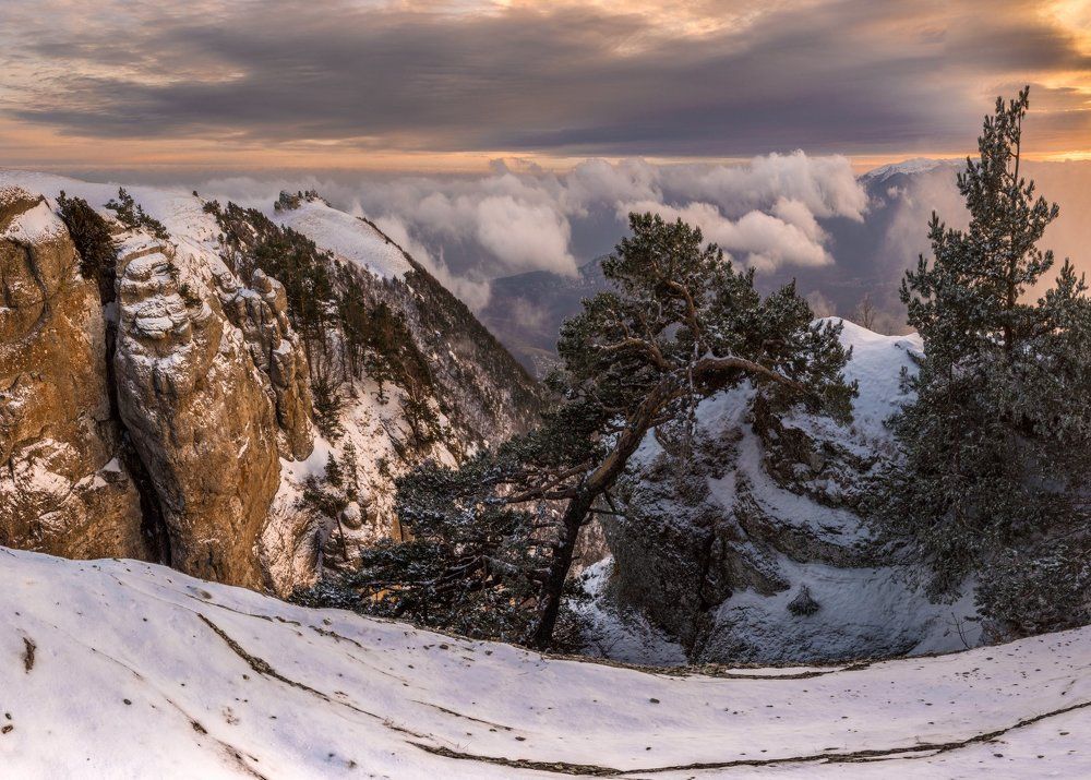 Когда рассеялся туман