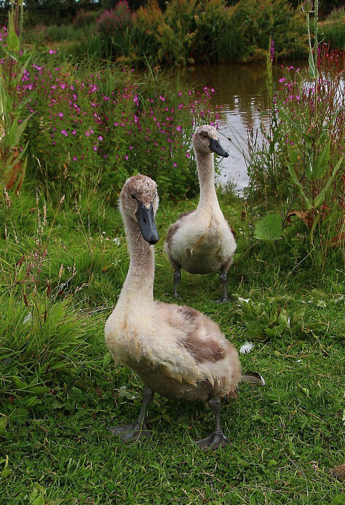 Фотография автора Марина Кулакова