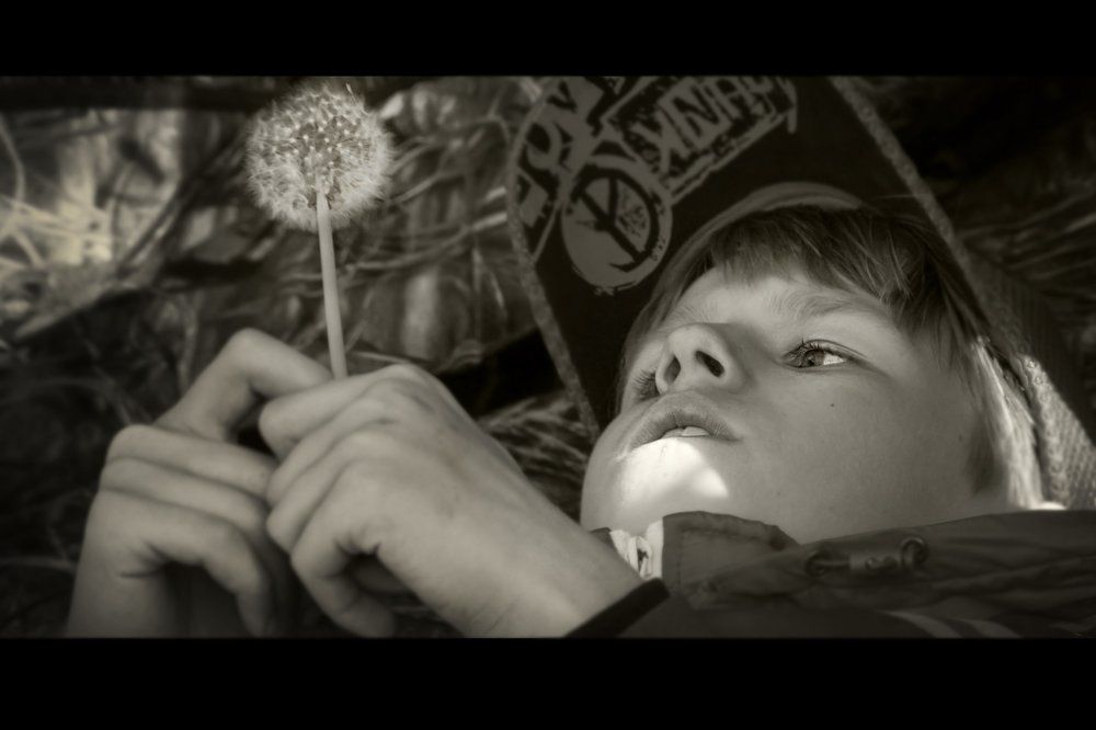 "Кадр из фильма"