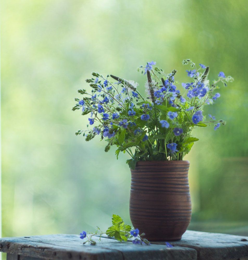 летние букеты...