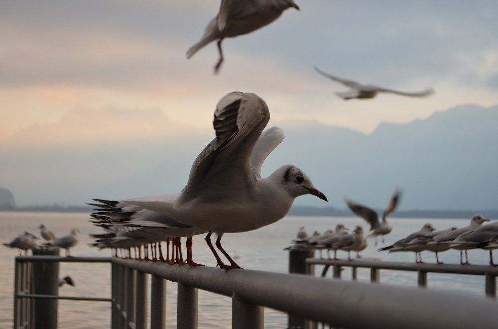 Ready for take off