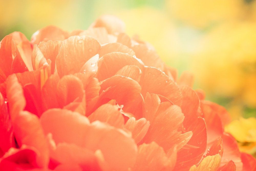 Natural beauty / Естественная красота